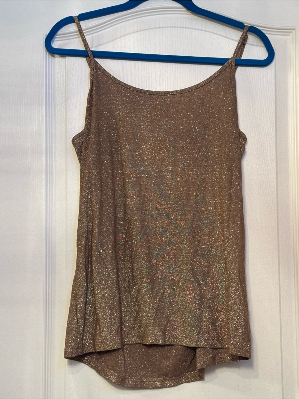 Shimmery Golden Brown Spaghetti Strap Camisole